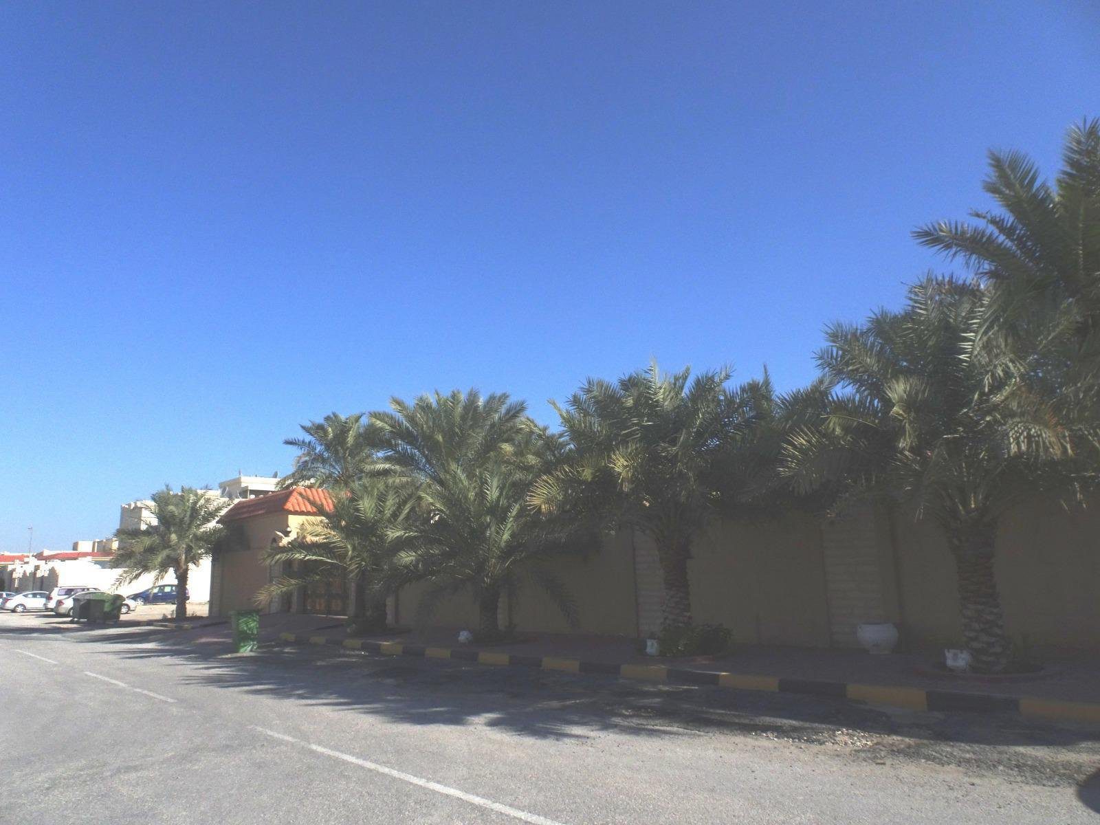 WhatsApp Image 2026-03-24 at 2.13.28 PM (3)